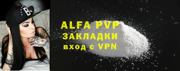 PSILOCYBIN Заводоуковск