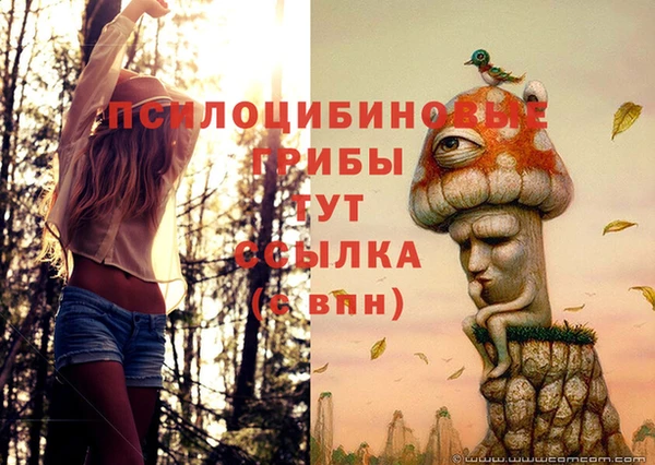 spice Заволжье