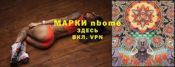 PSILOCYBIN Заводоуковск